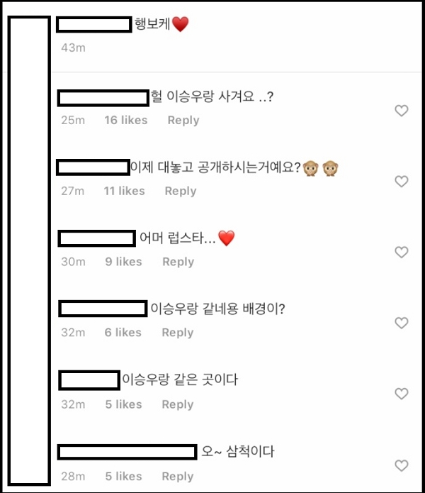 ▲A씨 인스타그램 게시글의 댓글